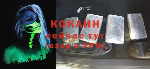 PSILOCYBIN Гусь-Хрустальный