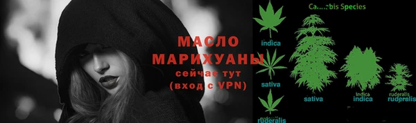 дурь Гусиноозёрск