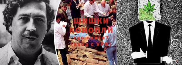 дурь Гусиноозёрск