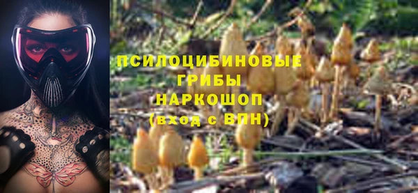 дурь Гусиноозёрск