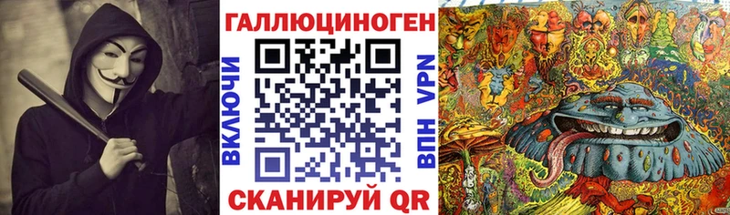 Купить  Котлас  Псилоцибиновые грибы Psilocybine cubensis 